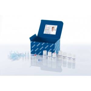 QIAprep Spin Miniprep Kit (250)