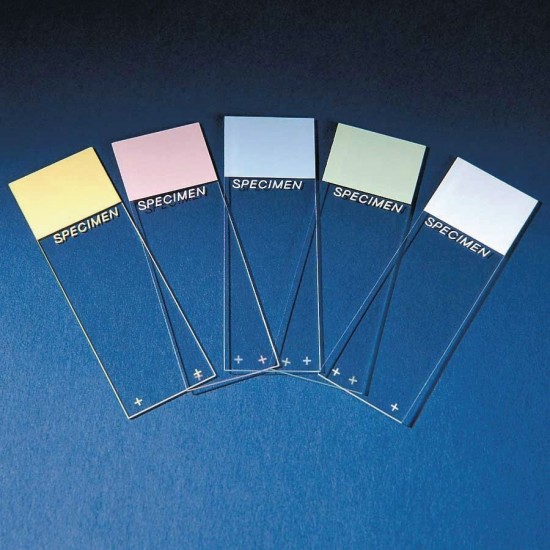 Colorfrost slides, color-coded 75?25 MM