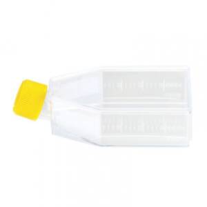 Cell Culture Flask, 75 cm?