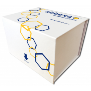 Camel Theileria ELISA Kit 96 T