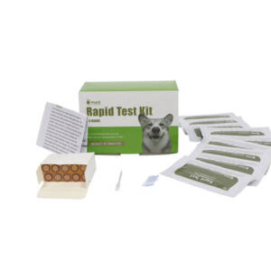 Canine Brucella LPS Test, 10T/KIT