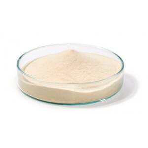 Agar Culture Medium 500Gm