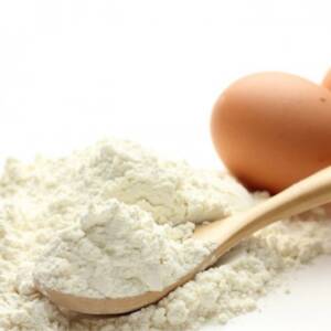 Albumin EGG Powder 1Kg