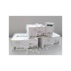 Blood Genomic DNA Extraction Mini Kit (50prep), (With Proteinase K Powder, for wide applications and simple procedure)