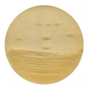 Antibiotic Agar No 1 (500gr)
