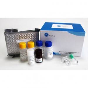 Camel Hydrocortisone ELISA Kit 96-Strip-Wells