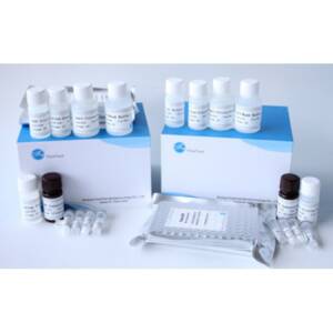 Camel Progesterone(PROG) ELISA Kit