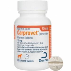 Carprofen
