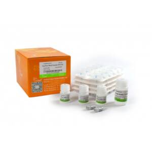 Column-Pure Blood Genomic DNA Kit 50 Preparations