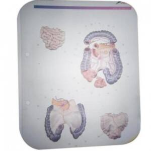 3B-Troso-Classroom-Set