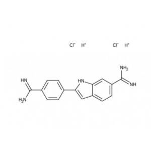 4',6-Diamidino-2-Phenylindole Dihydrochloride, 10mg