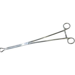 Allschoolabs Babcock Tissue Forceps