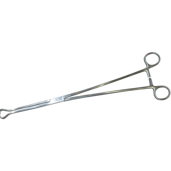 Allschoolabs Babcock Tissue Forceps
