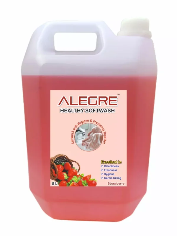 ALEGRE 5 Ltr Can Hand Wash Liquid
