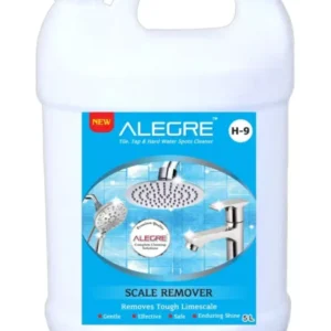 ALEGRE 5 Ltr Can Scale Remover