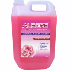 ALEGRE 5 Ltr Can Disinfectant Floor Cleaner Rose