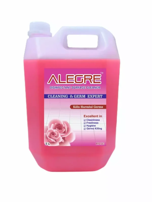 ALEGRE 5 Ltr Can Disinfectant Floor Cleaner Rose