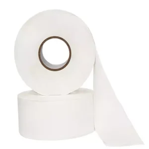 Biogreen JRT Roll 650 Grams Toilet Tissue Roll 18 Rolls in each Pack