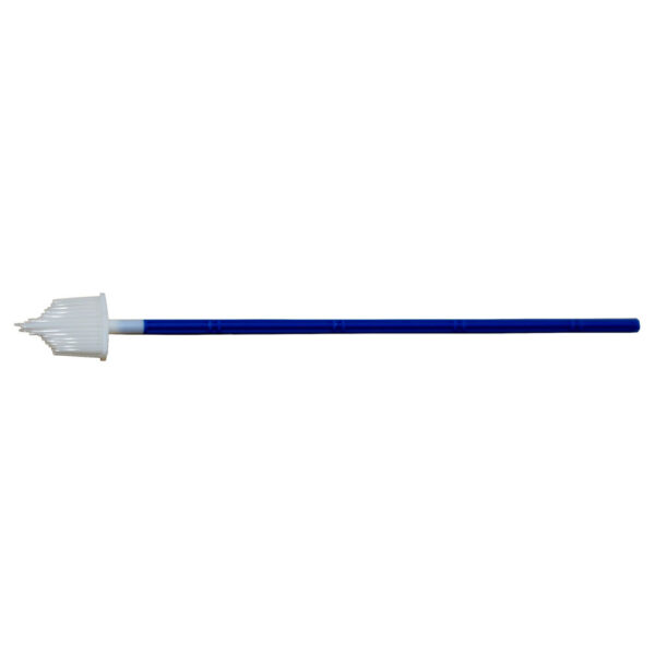 Allschoolabs Pap Cell
