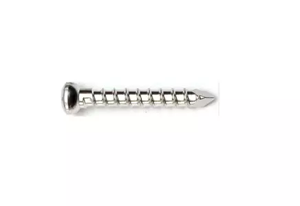 B-SaF 4.9 mm Locking Screw Size - 24 mm