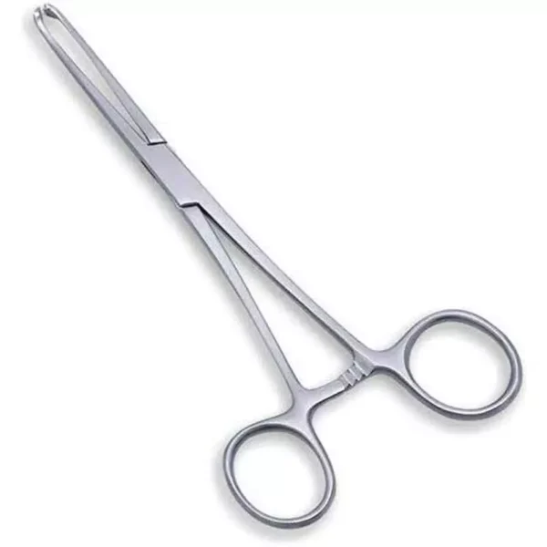 Forgesy GSS58 10 inch Stainless Steel Allis Tissue Holding Forceps