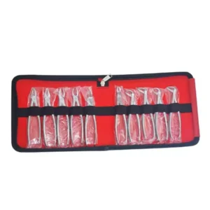 Forgesy GSS84 Stainless Steel Dental Forcep Extraction Kit (Set of 10 Piece)