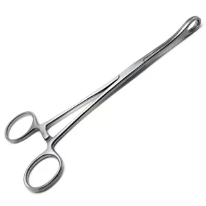 AANIJ Sponge Holding Forcep Size 8 inch Silver