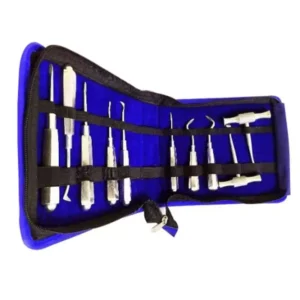 Forgesy GOL19 Stainless Steel Dental Elevator (Set of 10 Piece)