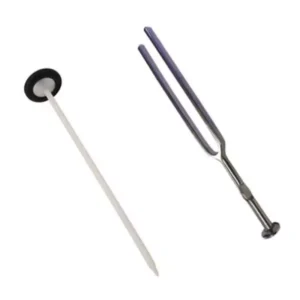 Forgesy GSS107 Stainless Steel Queen Square Pattern Knee Hammer and Tuning Fork (Set of 2 Piece)