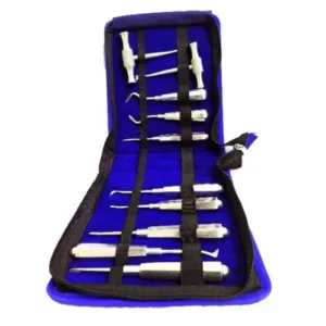 Forgesy GSS87 Stainless Steel Dental Elevator Set (Set of 10 Piece)
