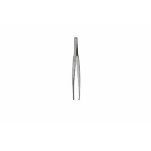 AANIJ Size 8 inch Tooth Forceps Silver, ASFSY0667