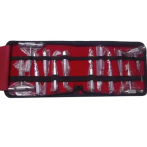 Forgesy GSS86 Stainless Steel Dental Elevator Set (Set of 12 Piece)