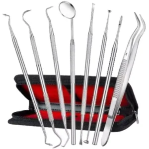 Forgesy GOL17 Stainless Steel Oral Care Dental Tools Set (Set of 8 Piece)