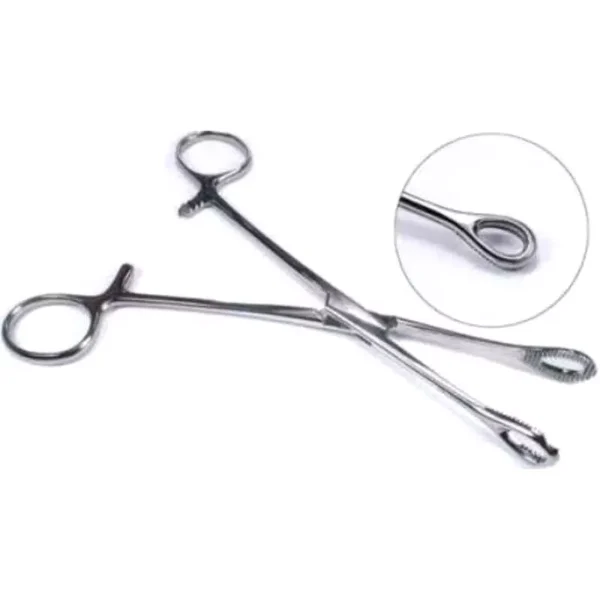 Forgesy GSS54 8 inch Stainless Steel Sponge Holding Forceps