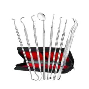 Forgesy GSS85 Stainless Steel Dental Hygiene Tool Set (Set of 8 Piece)