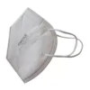Kwalitex N95 Mask