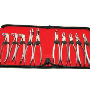 Dental Set of Tooth Extracting Forceps