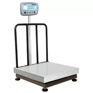 Aczet CTG 100 100 Kg Weighing Capacity Mild Steel Platform Scale