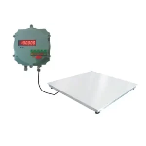 Aczet CTG - 1 T4LF 1 Ton Weighing Capacity Stainless Steel Flameproof Floor Scale