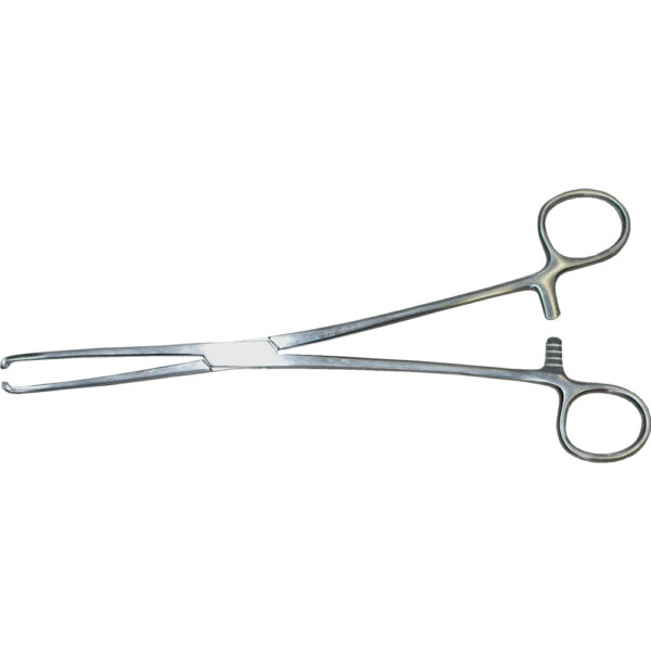 Allschoolabs Allis Tissue Forceps