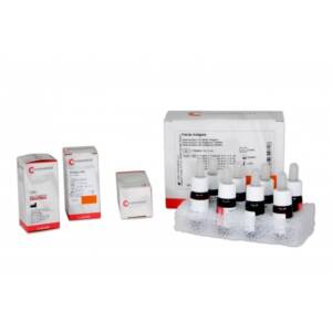 Brucella Positive Control 5ml