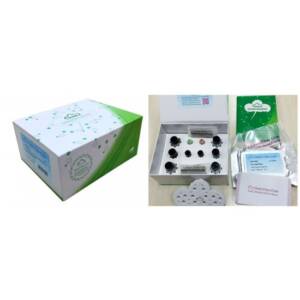 ELISA Kit for Acetylcholinesterase (ACHE)