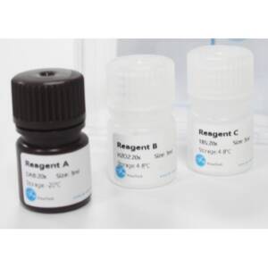 In Vitro Toxicology Assay Kit, MTT based, , 1 Kit