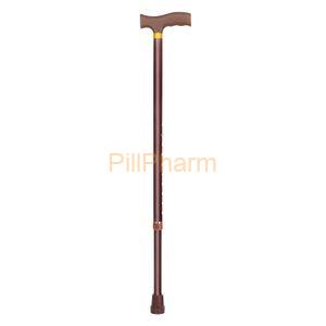 Walking Stick (Silver, Brown)