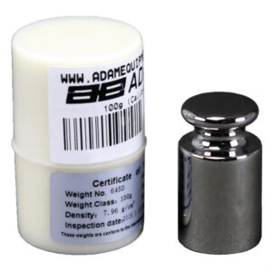 Calibration Weight 100g OIML class F1