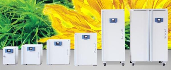 MMM Incucell ECO incubator