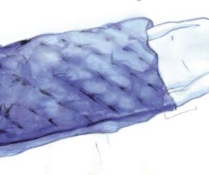 (warming unit) WARMING BLANKET, adult 3/4 reusable 92057