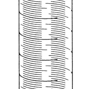 CYLINDER, MEASURING, plastic, graduated, spout, 100 ml