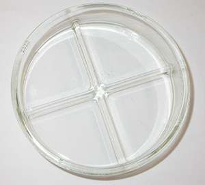 PETRI DISH, plastic, sterile, 4 compartments ? 100 mm