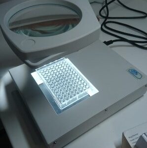 LIGHT BOX with magnifier for microplate, visual 110/230V